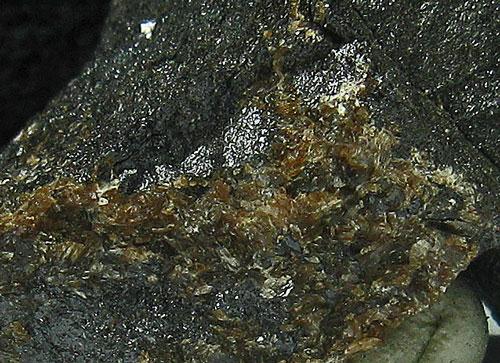 Kentrolite