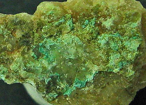 Rajite
