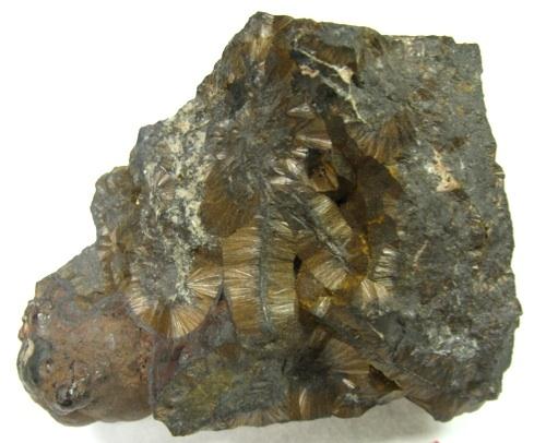 Limonite