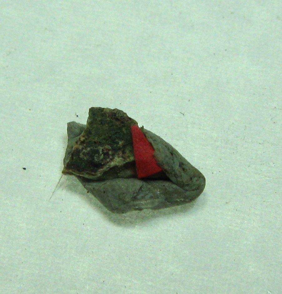 Palmierite