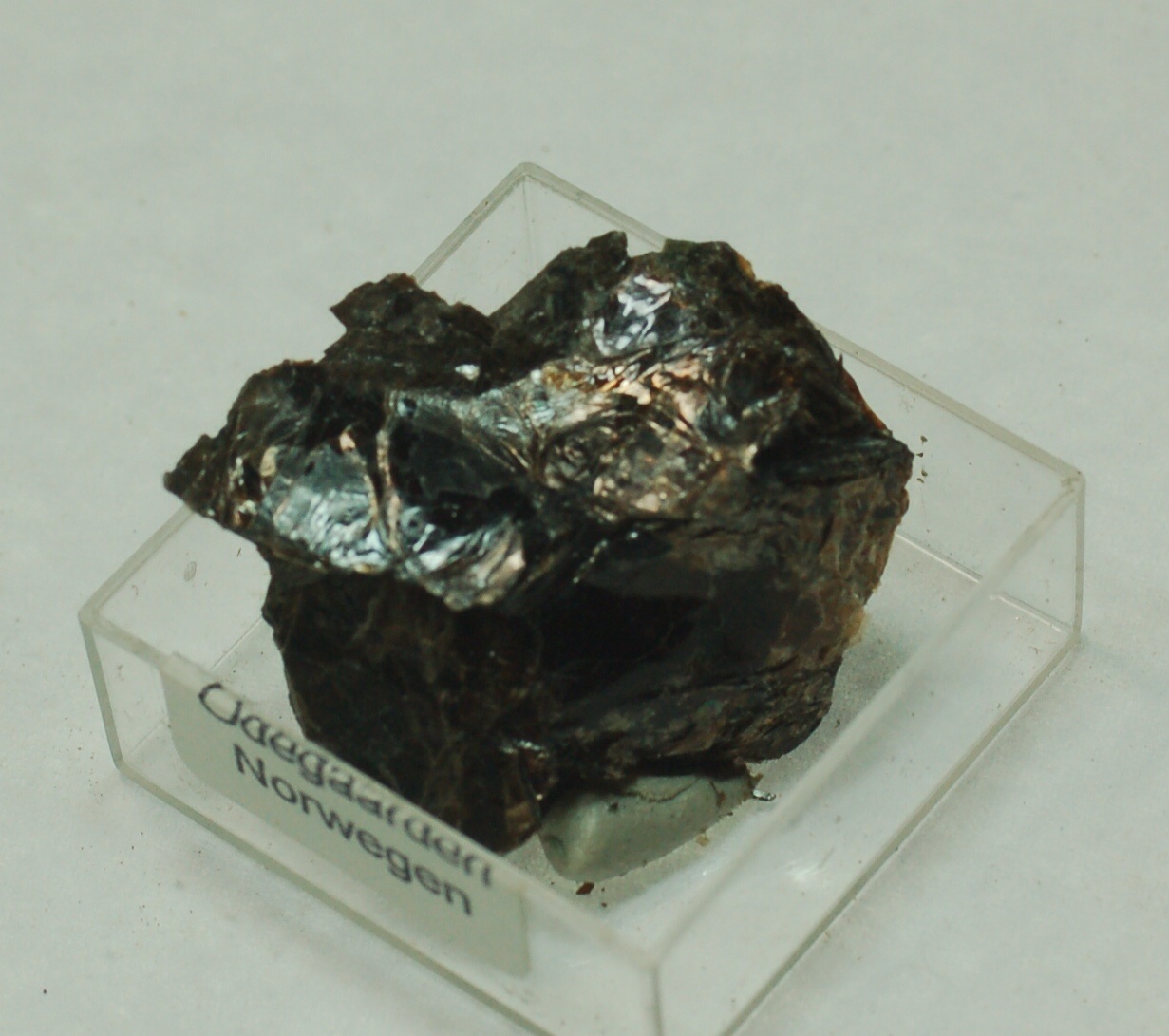 Phlogopite