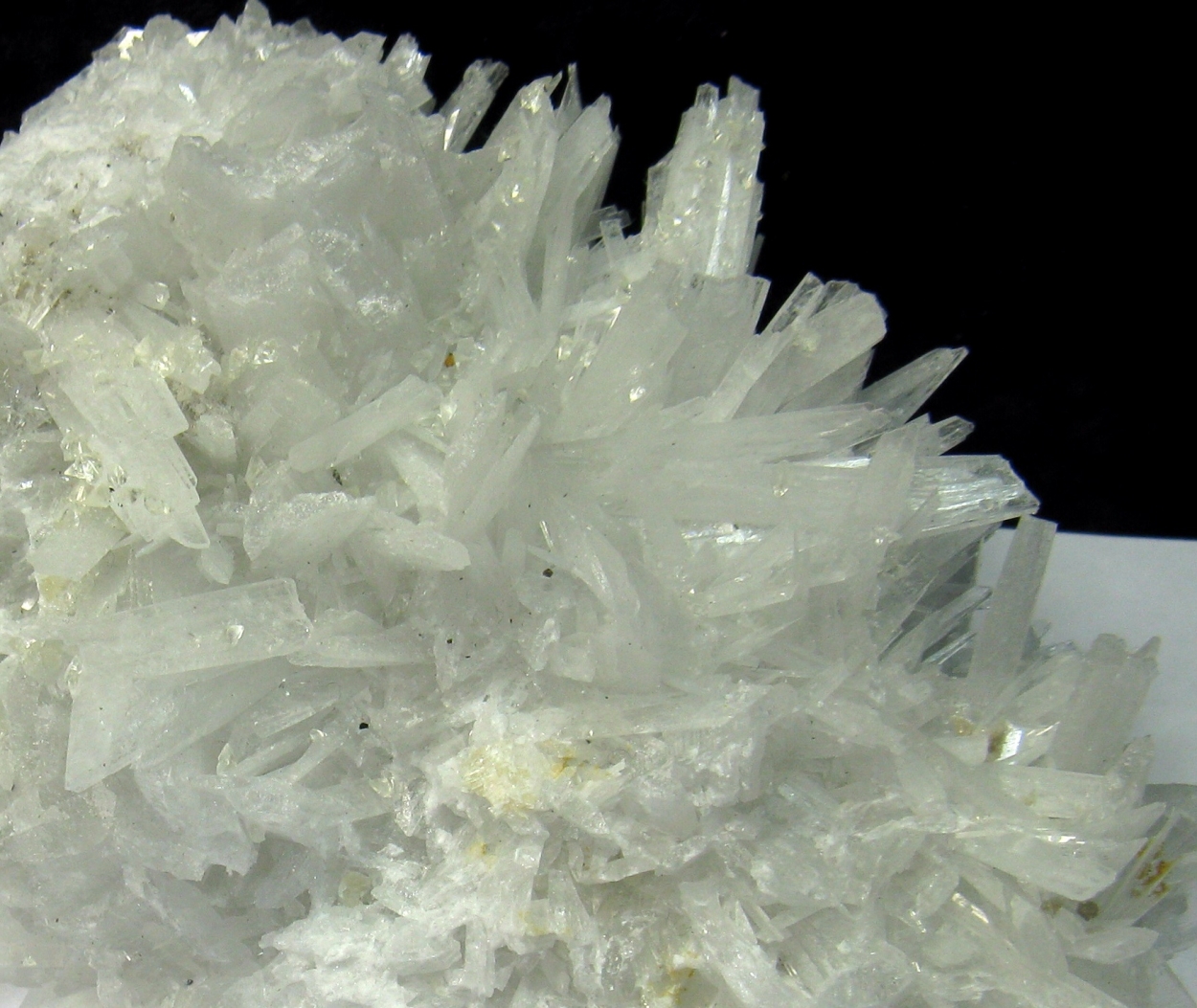 Celestine