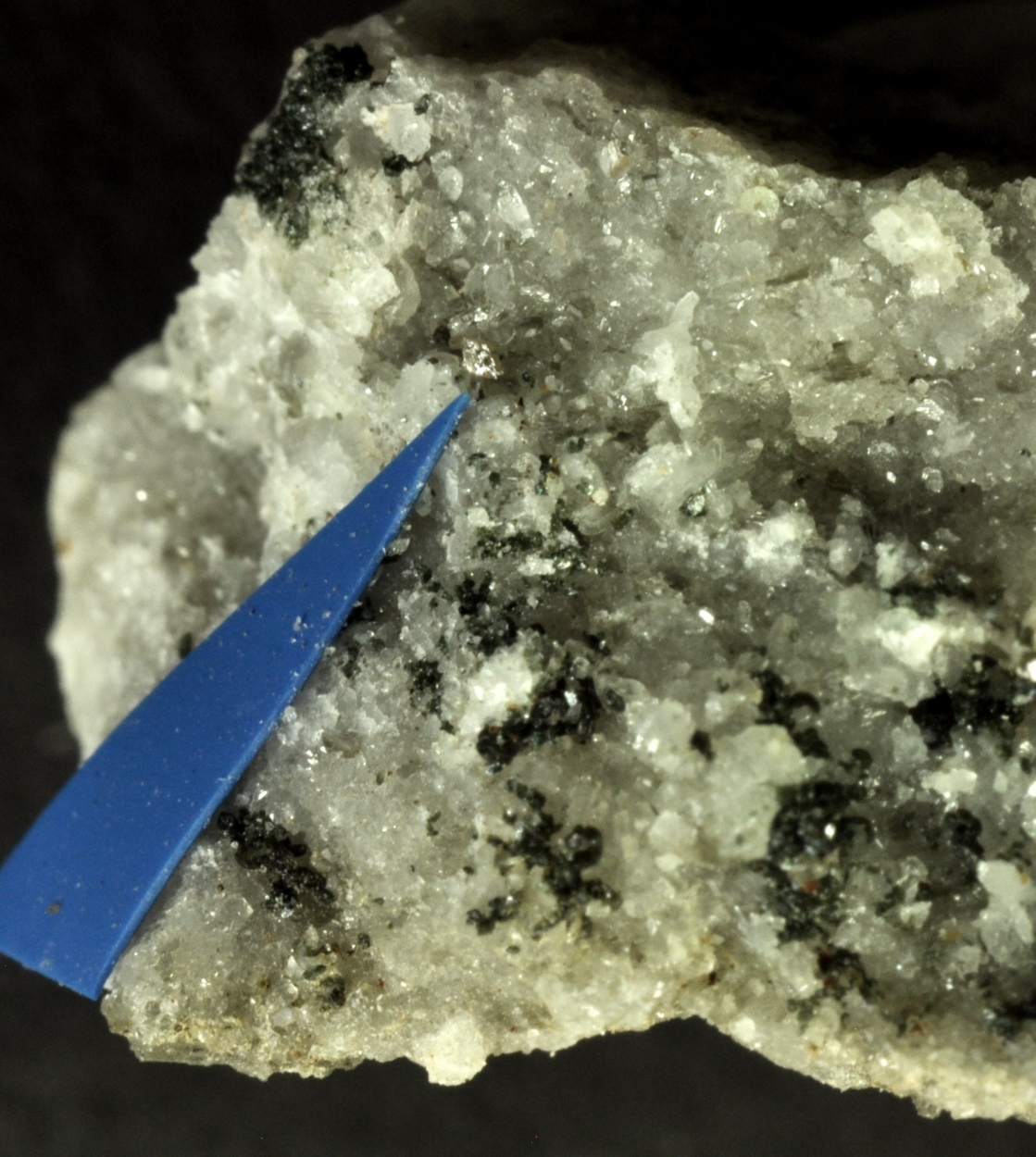 Synchisite