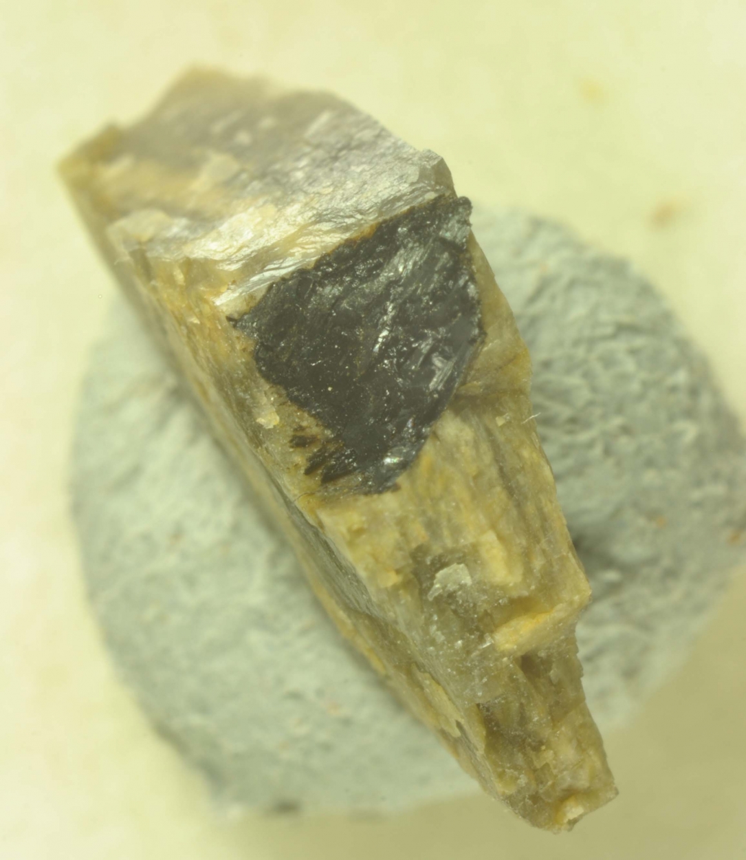 Barkevikite