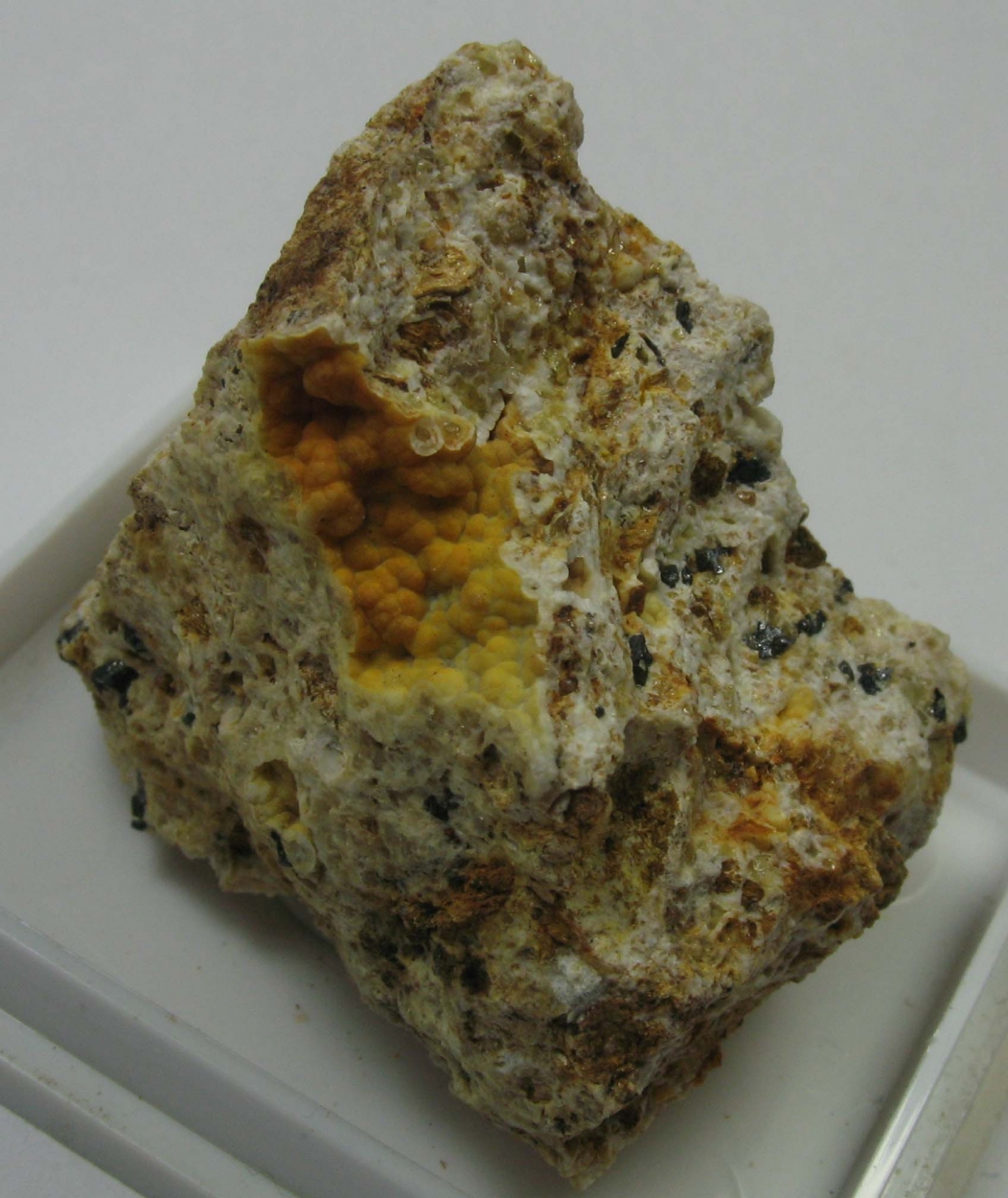 Carbonate-rich Fluorapatite