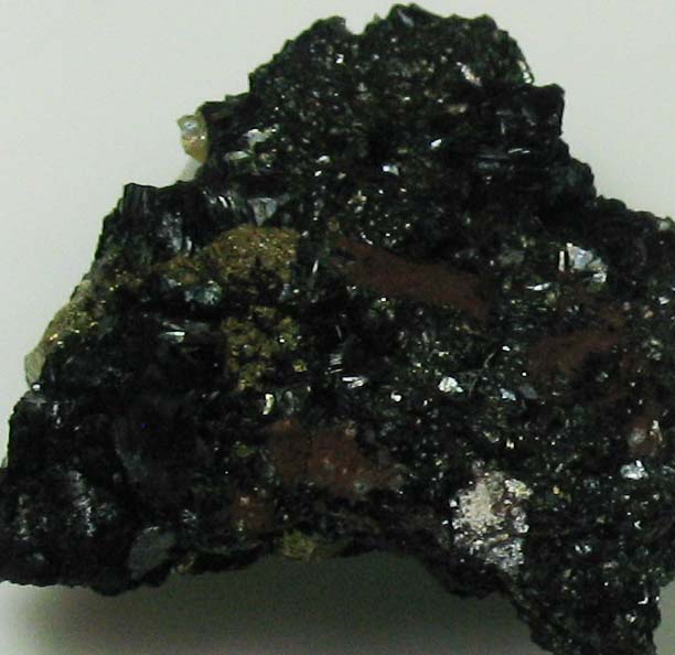 Daphnite & Chalcopyrite