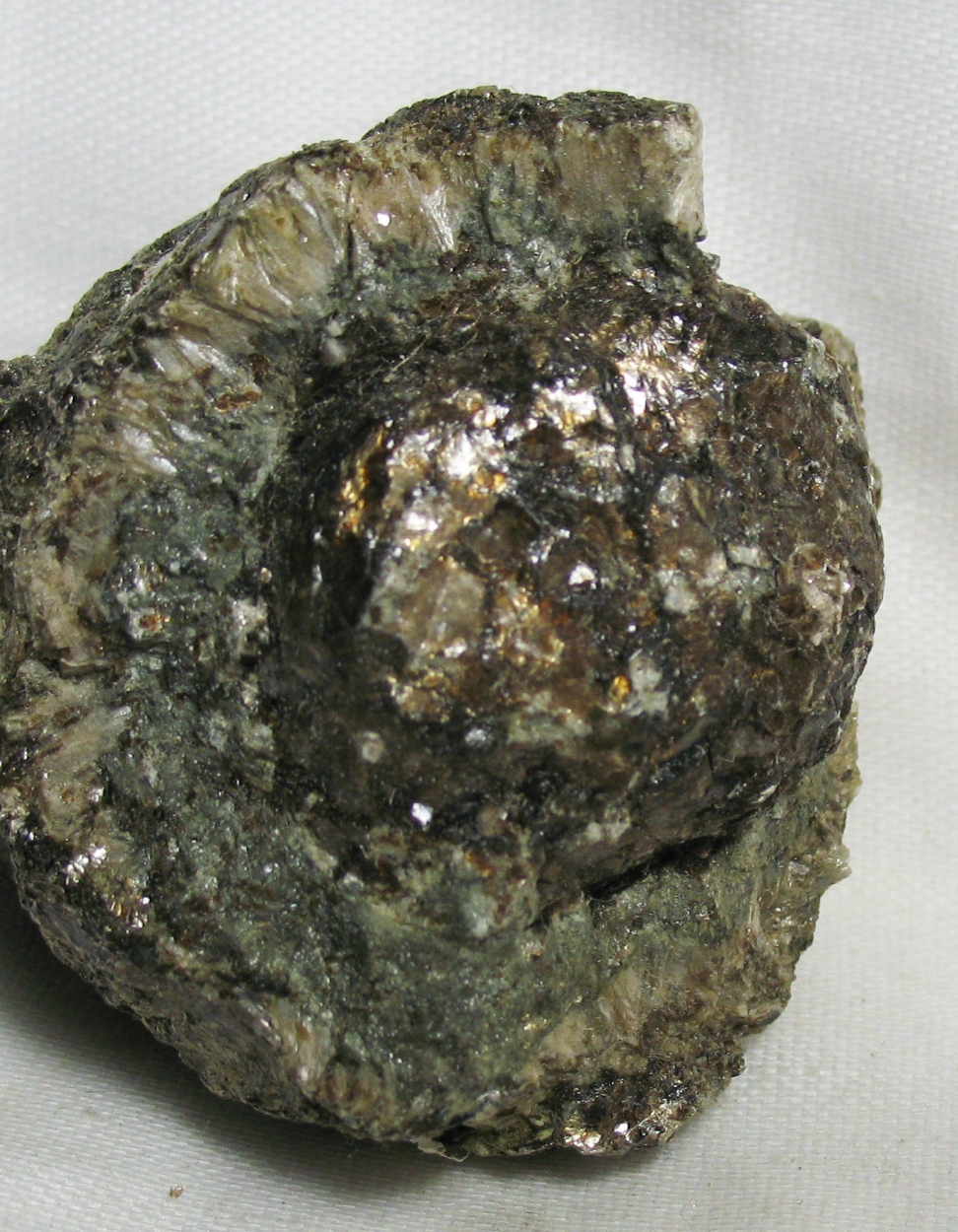 Anthophyllite