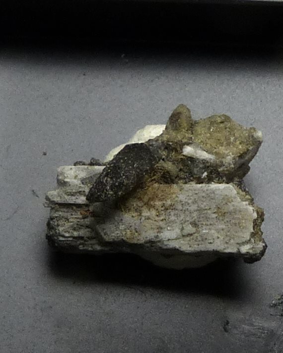 Whewellite