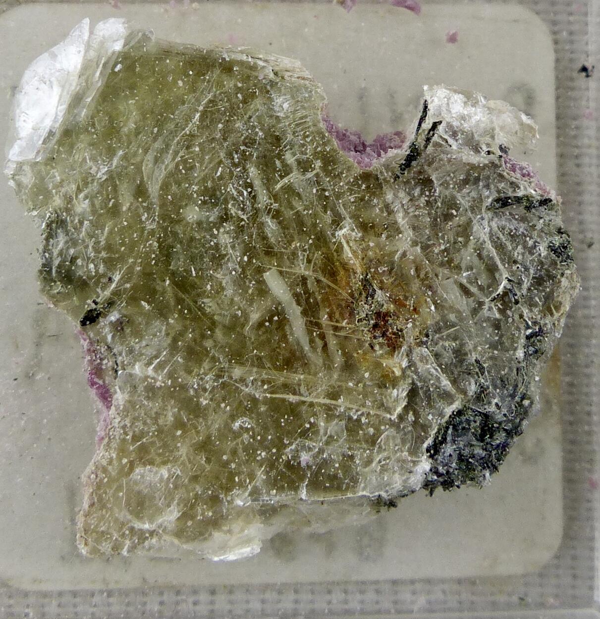 Polylithionite