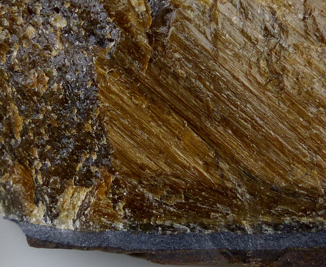 Tiger's Eye