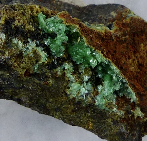 Annabergite & Gaspéite