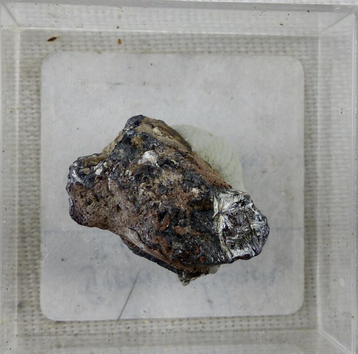 Pyrolusite