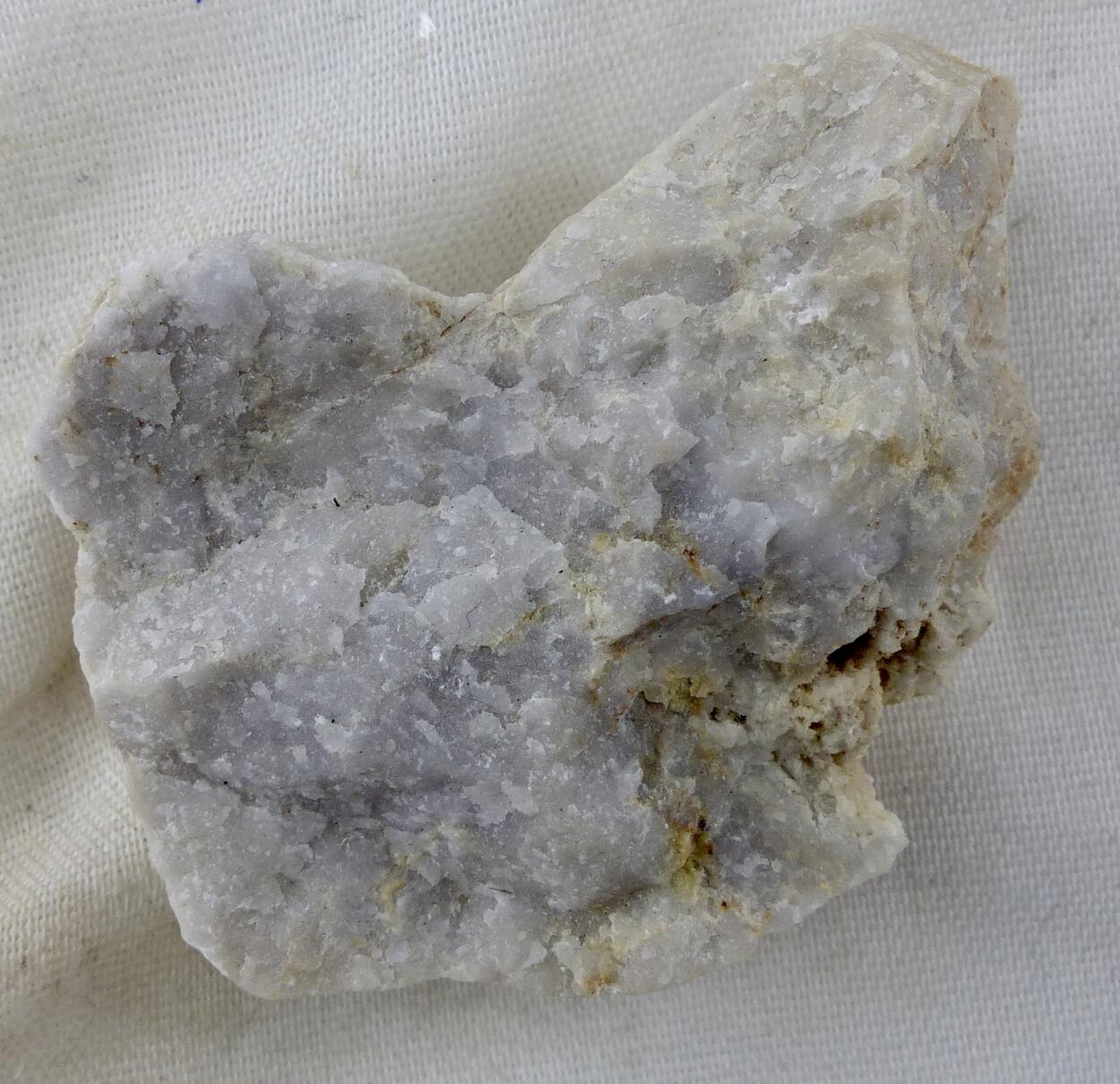 Prosopite