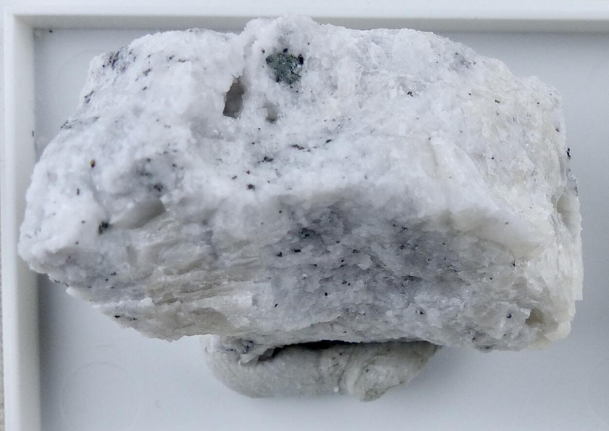 Tungstibite
