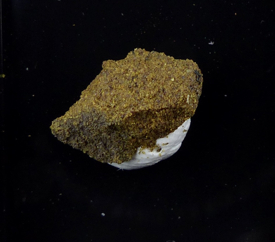 Rauvite