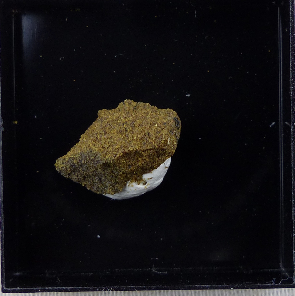 Rauvite