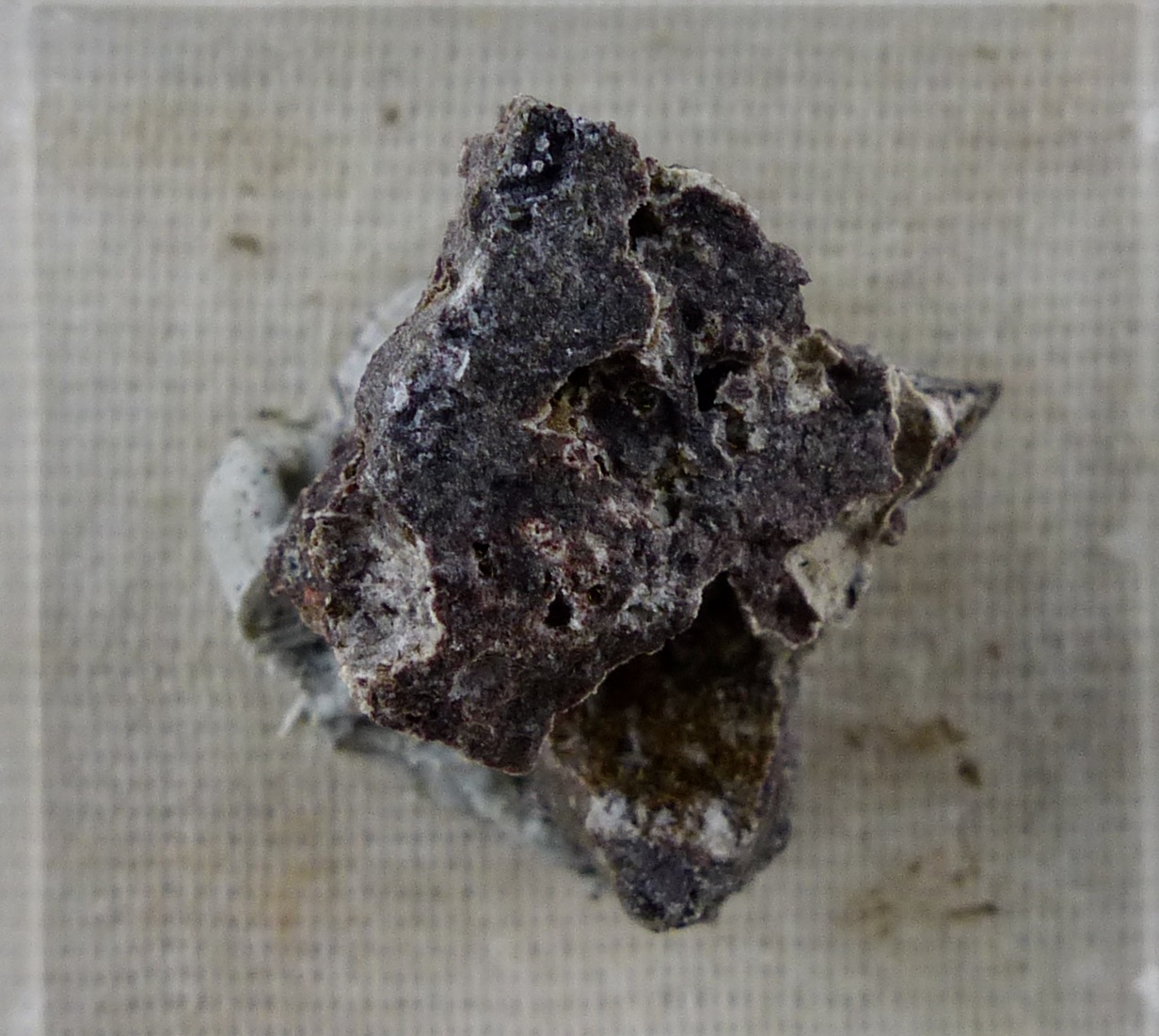 Arfvedsonite