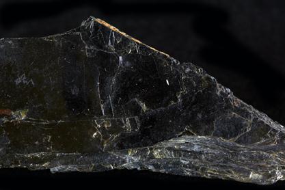 Phlogopite