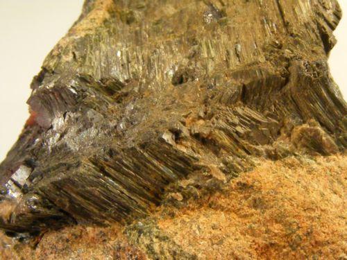 Actinolite With Galena
