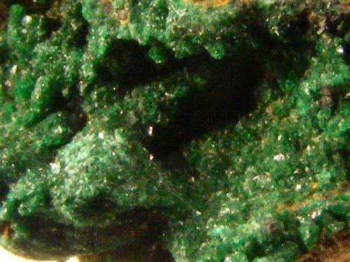 Atacamite & Malachite