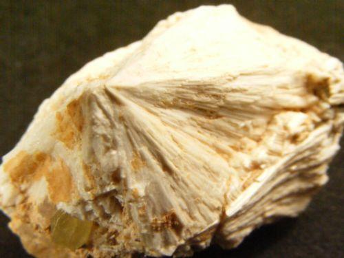 Scolecite