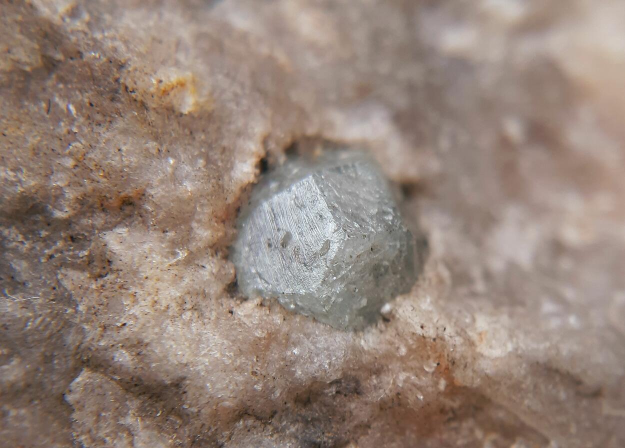 Boracite