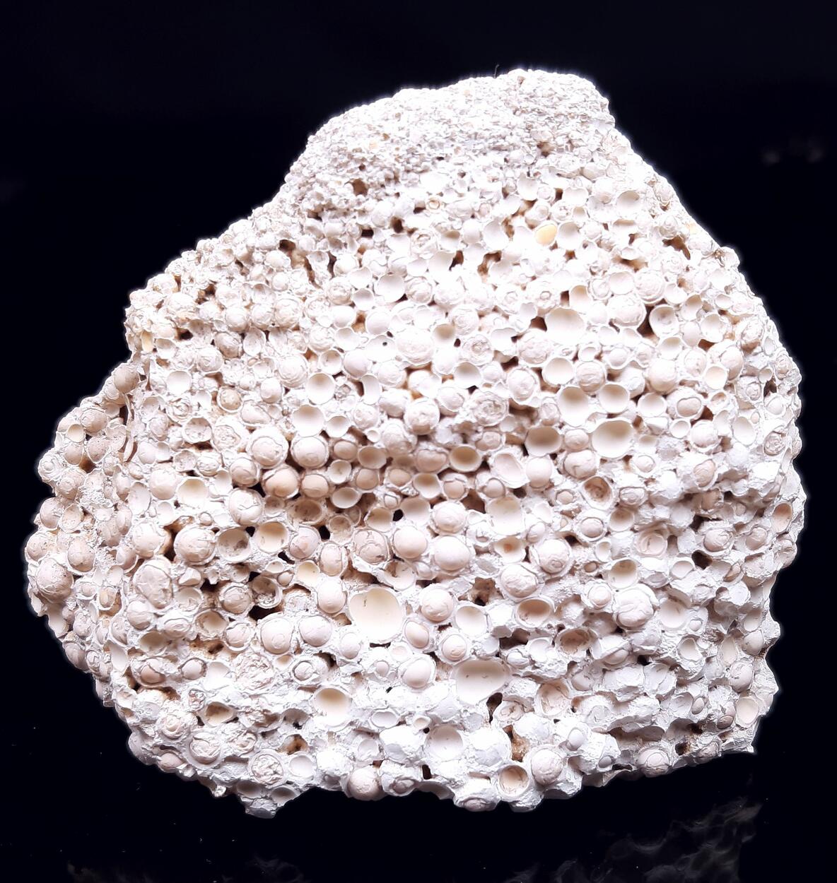 Aragonite
