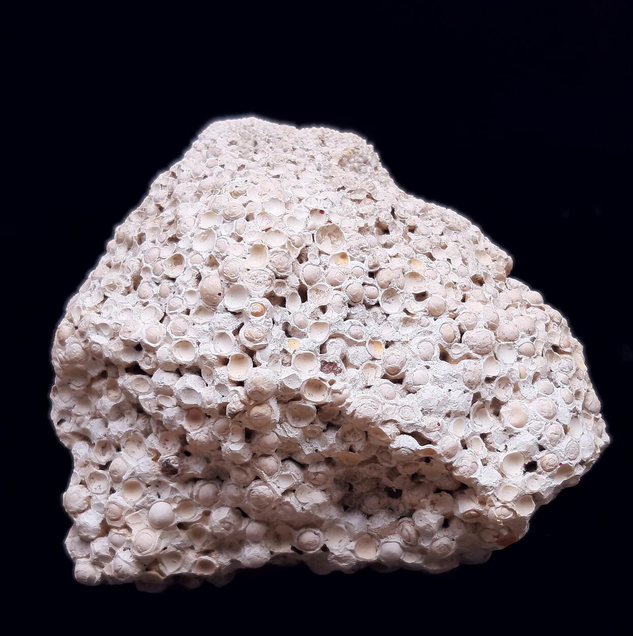 Aragonite