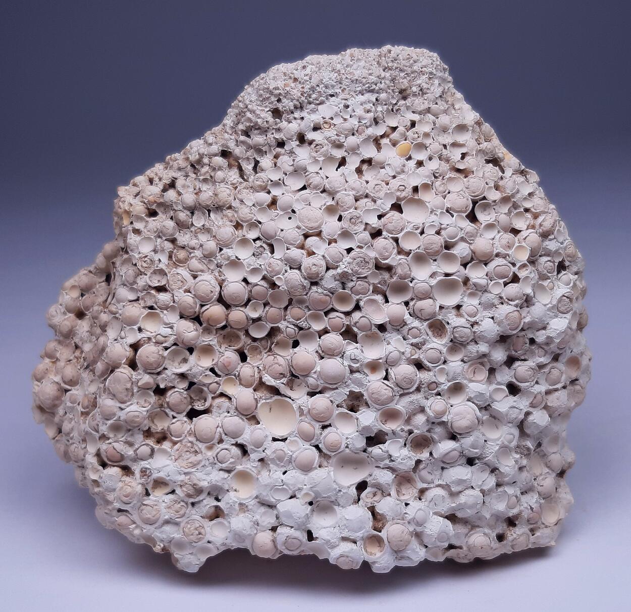 Aragonite
