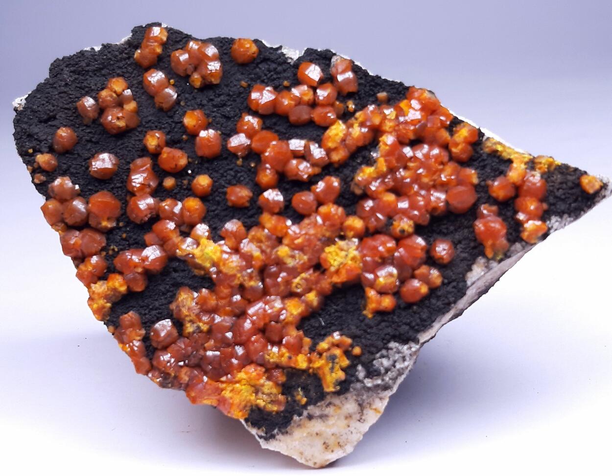 Campyllite