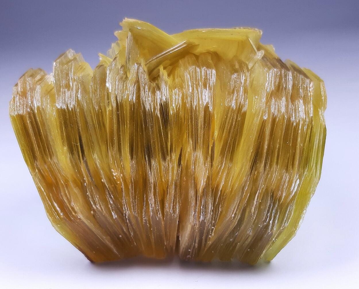 Muscovite
