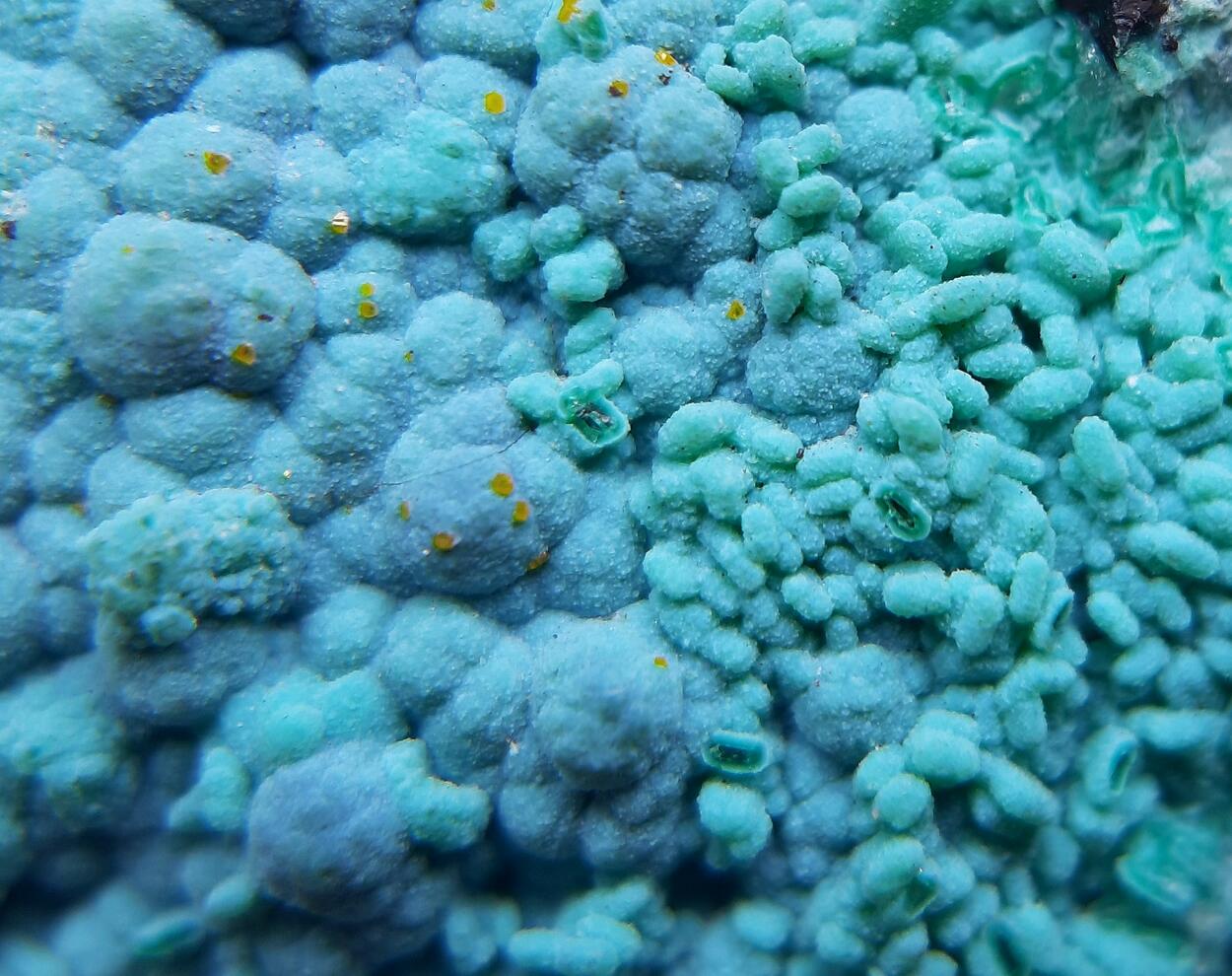 Chrysocolla & Hemimorphite & Wulfenite