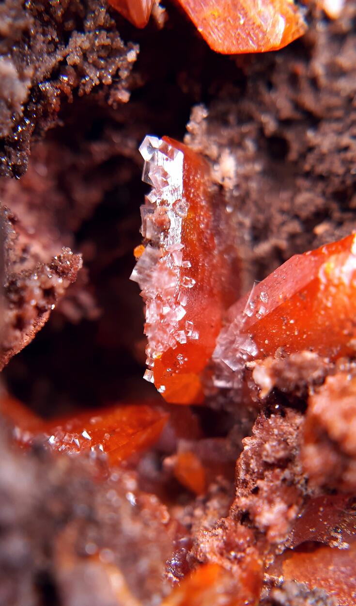 Wulfenite