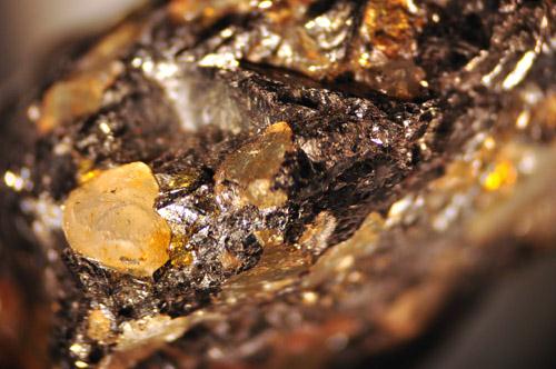 Bannisterite