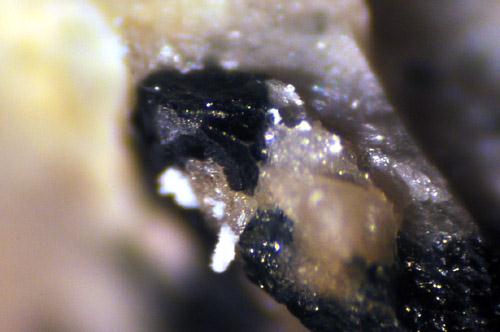 Grandidierite