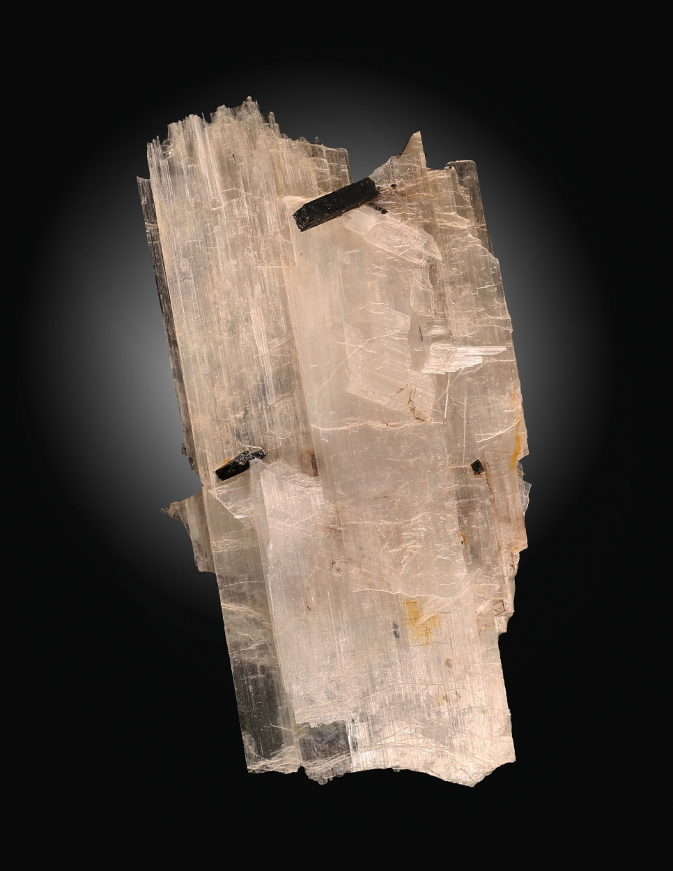 Epididymite