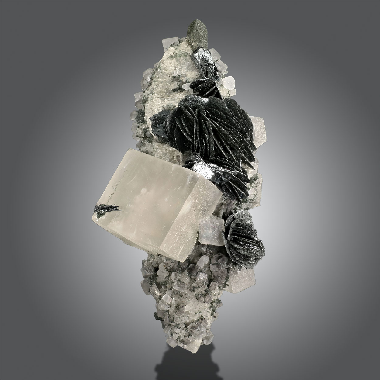 Ilmenite & Calcite