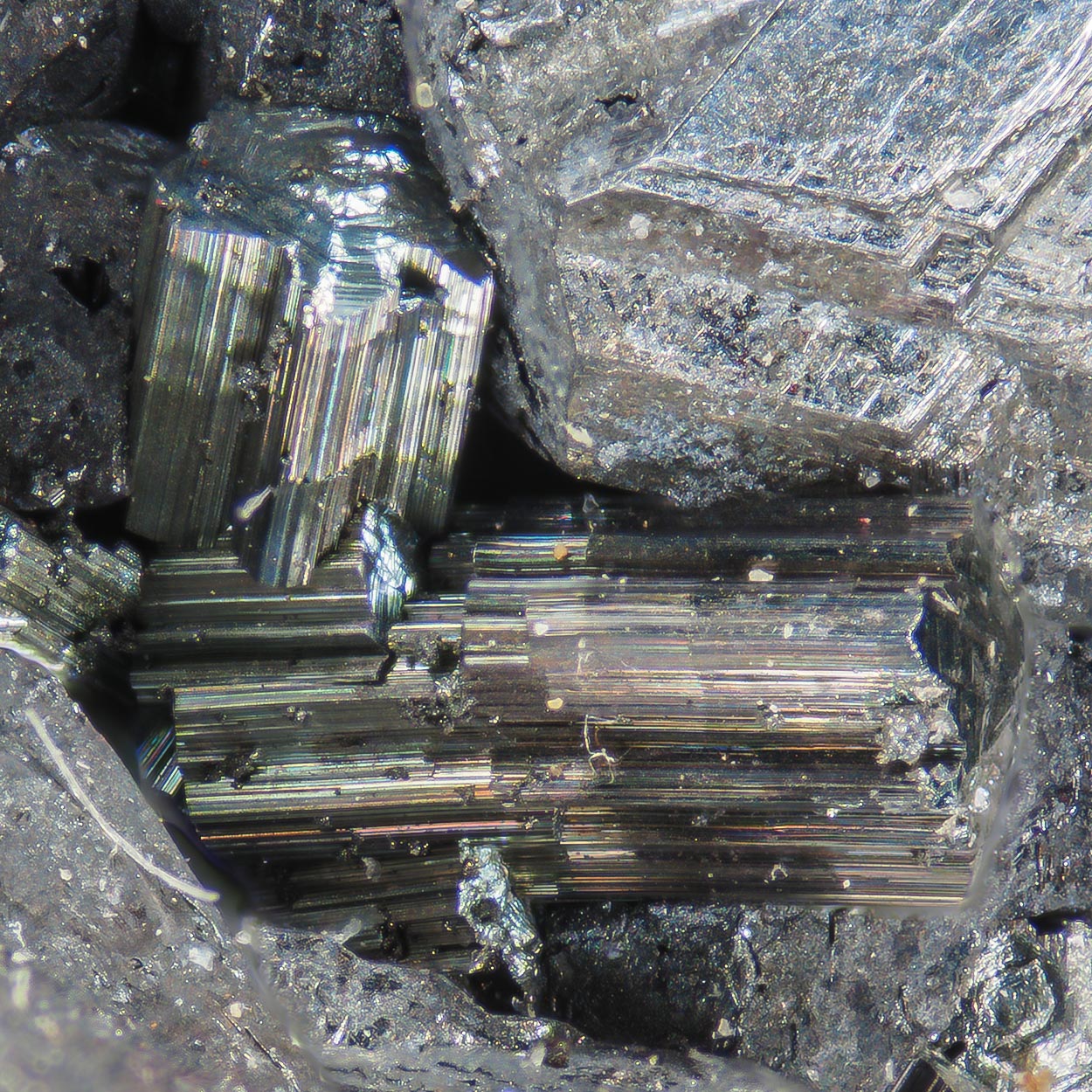 Argentopyrite & Pyrargyrite