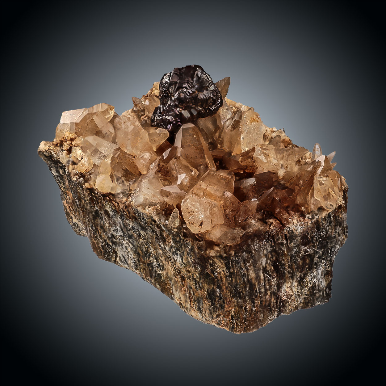 Pyrite On Quartz