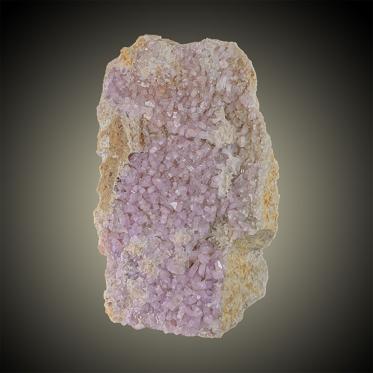 Apatite