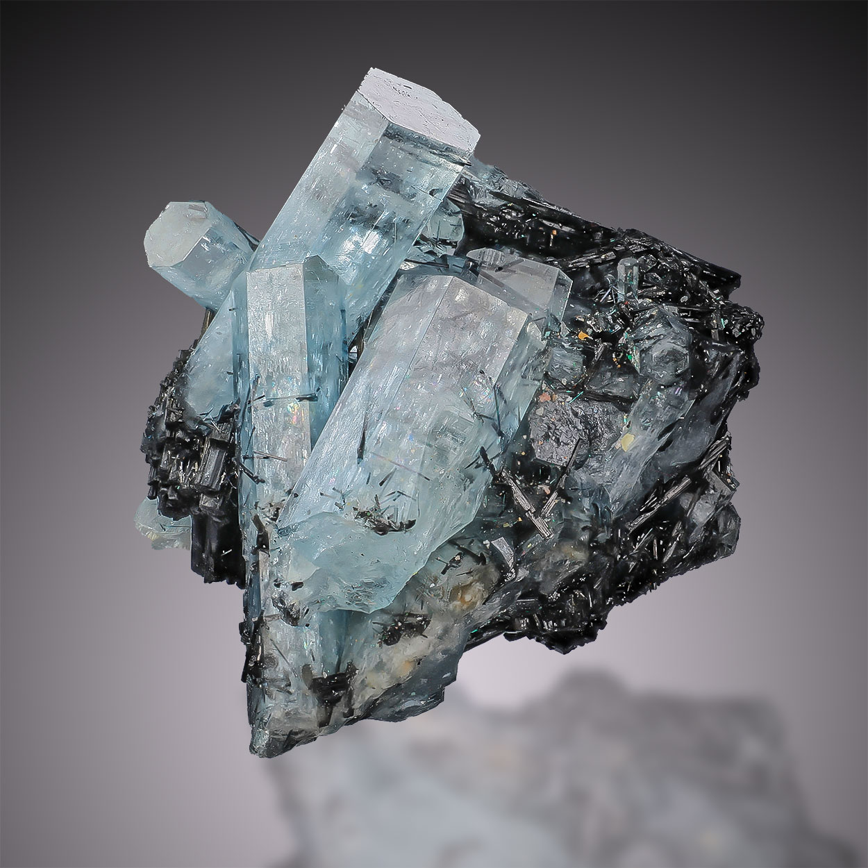 Aquamarine & Schorl