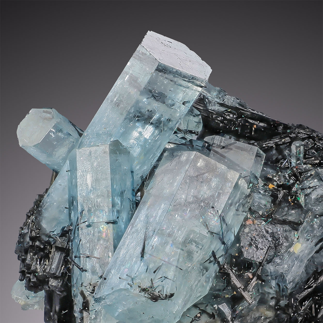 Aquamarine & Schorl