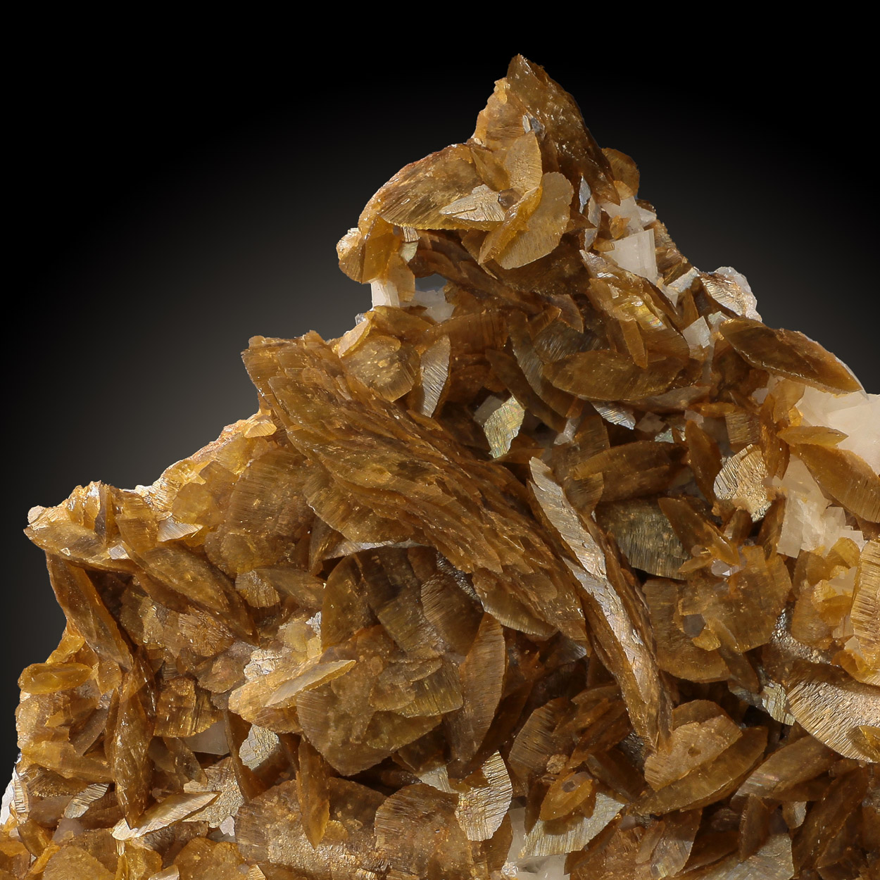 Siderite & Calcite