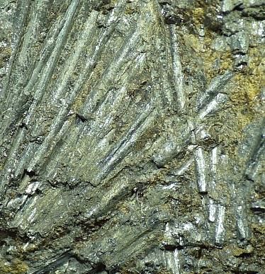 Cylindrite