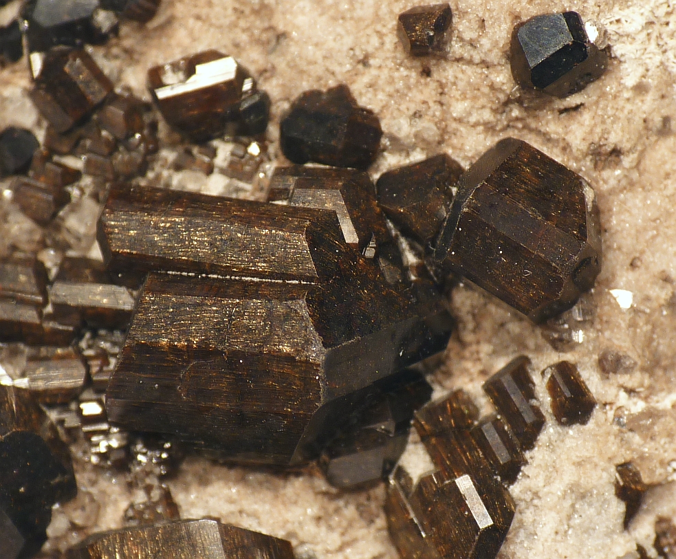 Buergerite