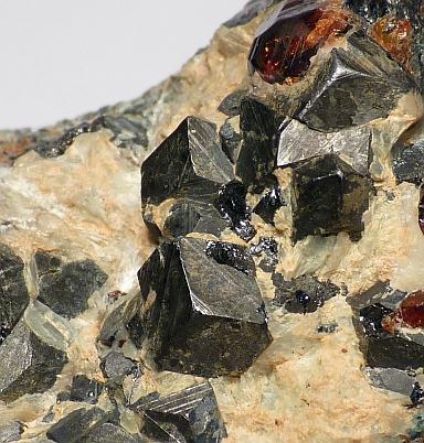 Chondrodite & Magnetite