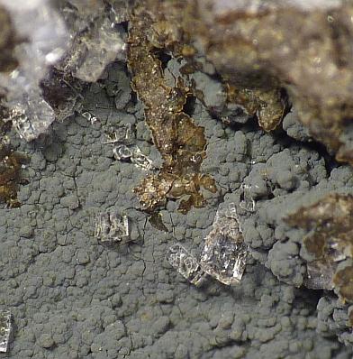 Clinoptilolite