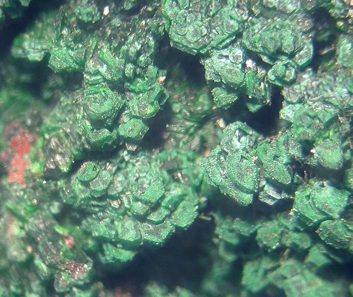 Euchlorine