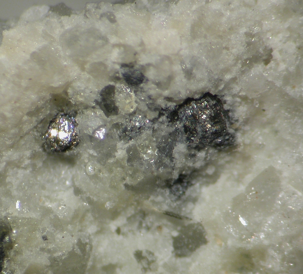 Krupkaite