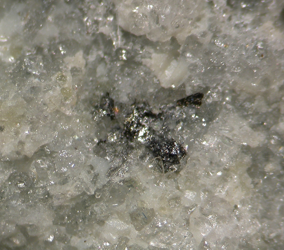 Krupkaite